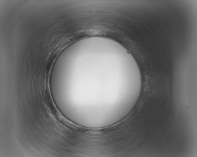 X0000086080210200703231058
