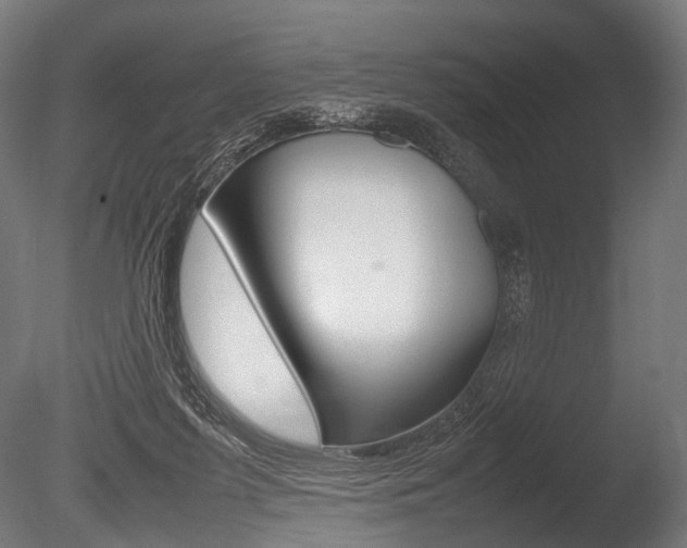X0000086080215200703231058