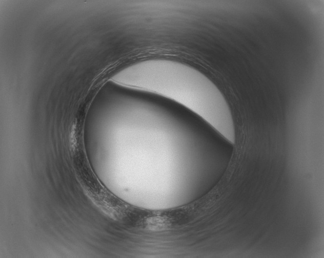 X0000086080216200703231058