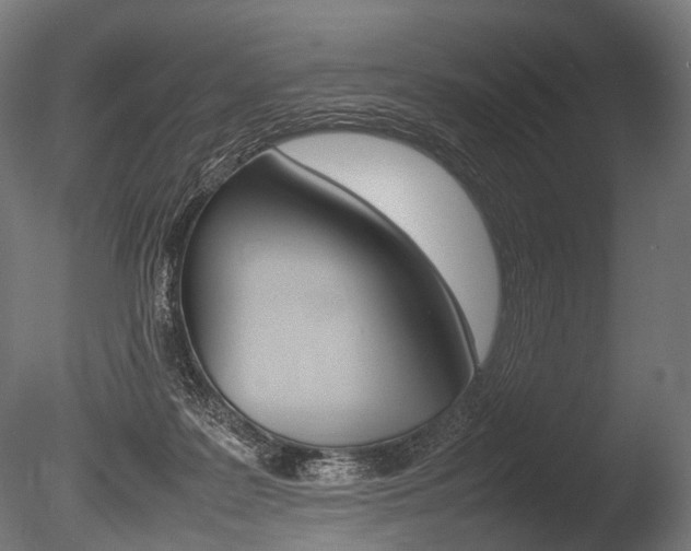 X0000086080219200703231058