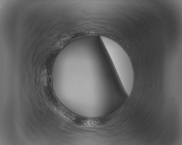 X0000086080223200703231058