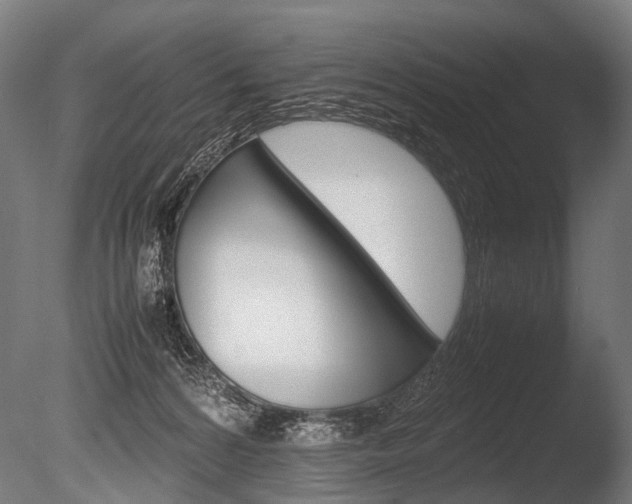 X0000086080224200703231058