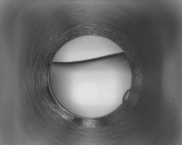 X0000086080226200703231058