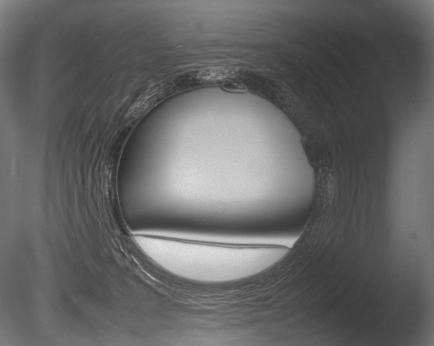 X0000086080227200703231058
