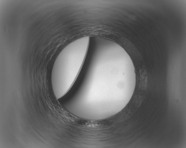 X0000086080228200703231058