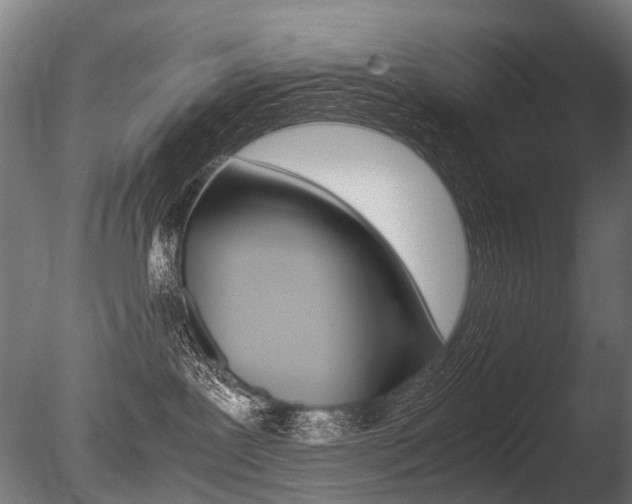 X0000086080239200703231058