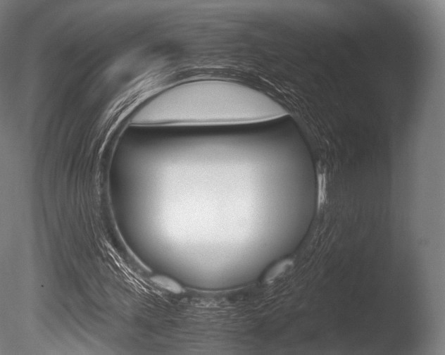 X0000086080243200703231057