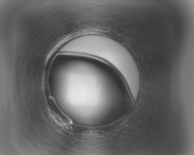 X0000086080244200703231057