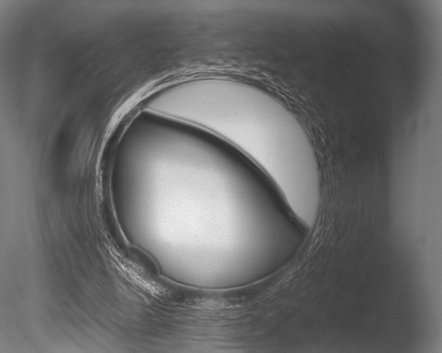 X0000086080246200703231057