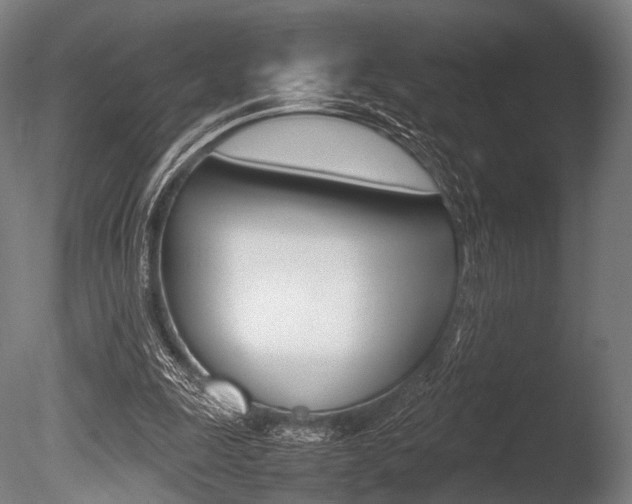 X0000086080247200703231057