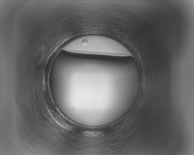 X0000086080251200703231057