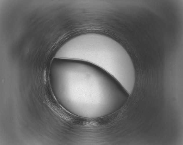 X0000086080262200703231057