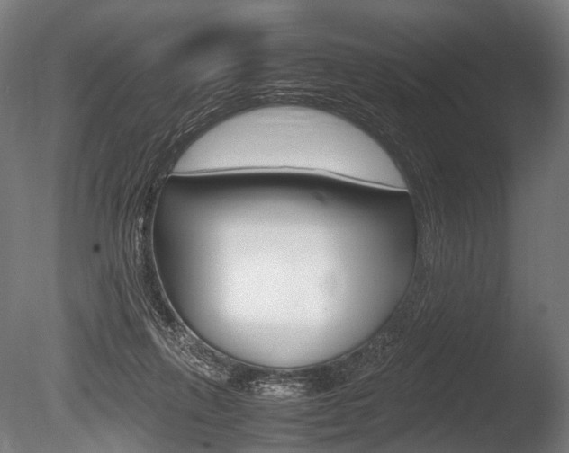 X0000086080263200703231057