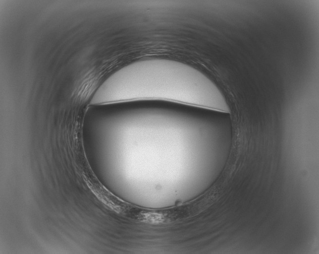X0000086080265200703231057