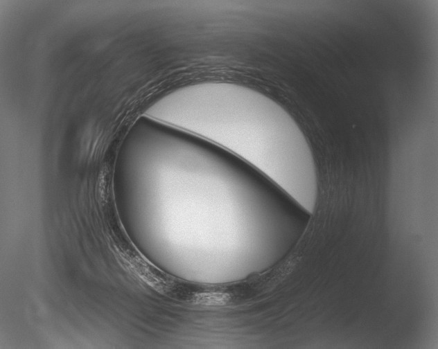 X0000086080266200703231057