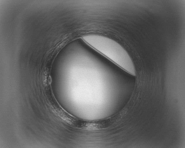 X0000086080268200703231057