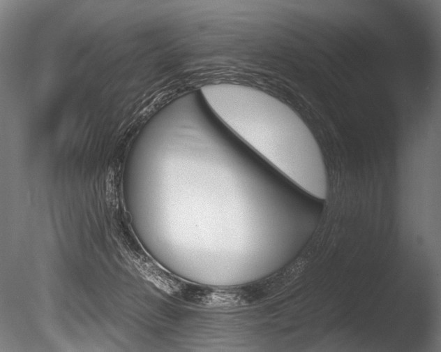 X0000086080270200703231057