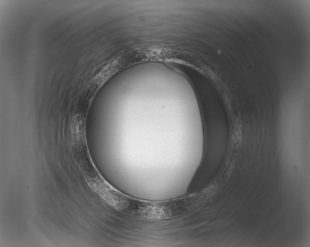 X0000086080276200703231058