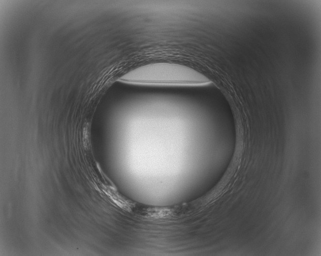 X0000086080288200703231058