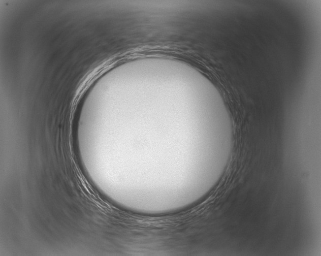 X0000086080293200703231057