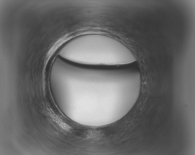 X0000086080296200703231057