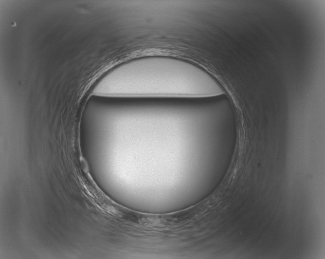 X0000086080297200703231057