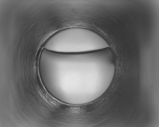 X0000086080298200703231057