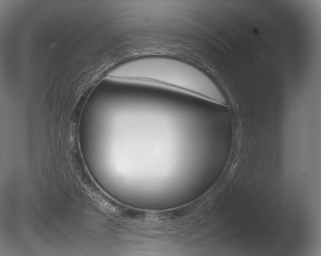 X0000086080305200703231057