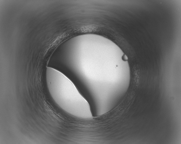 X0000086080308200703231057