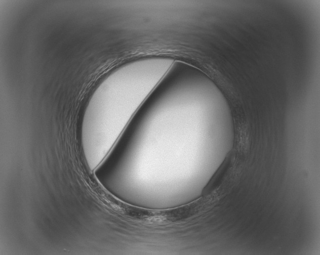 X0000086080309200703231057