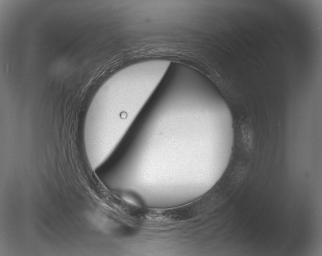 X0000086080311200703231057