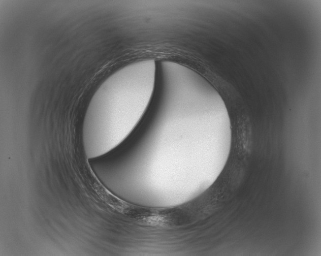 X0000086080312200703231057