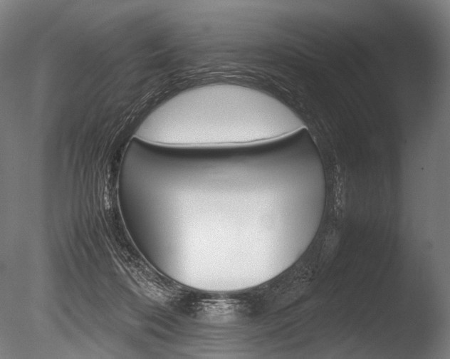 X0000086080316200703231056