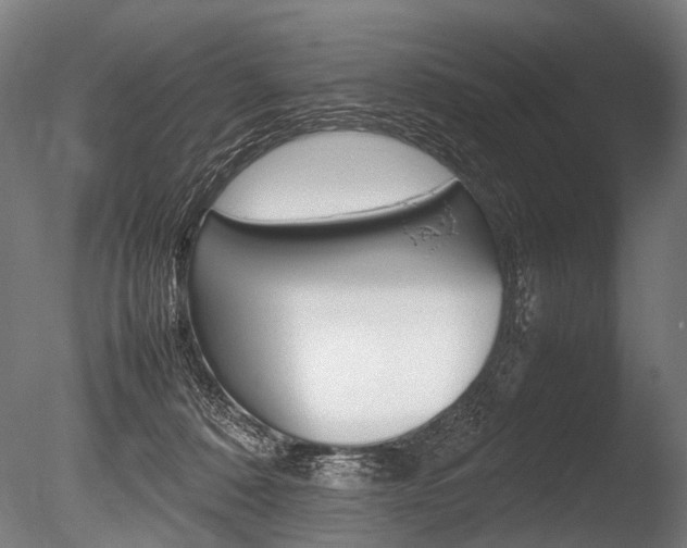 X0000086080320200703231056