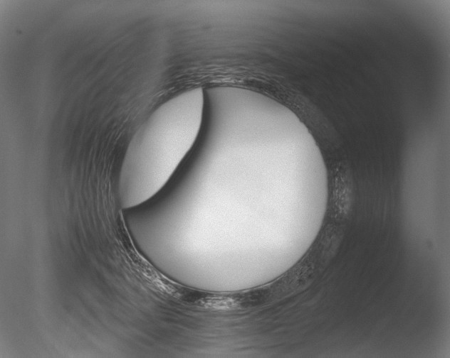 X0000086080322200703231056