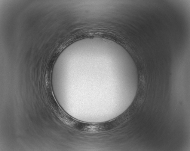 X0000086080323200703231056
