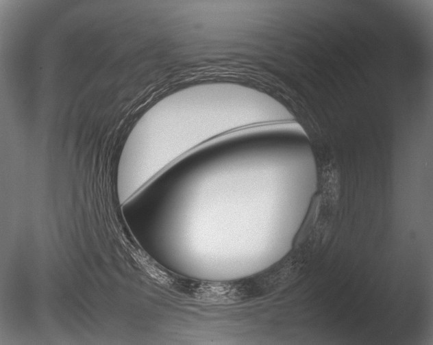 X0000086080329200703231056