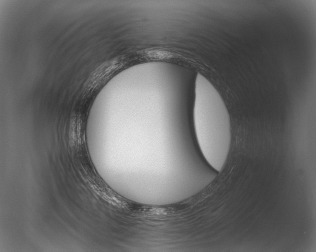 X0000086080330200703231056