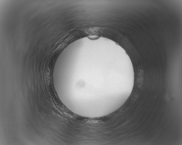 X0000086080332200703231056