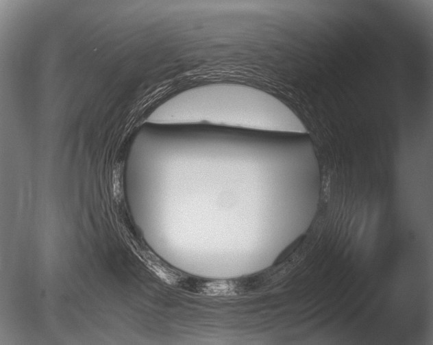 X0000086080335200703231056