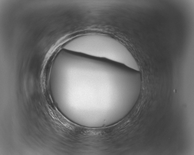 X0000086080343200703231055