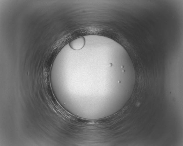 X0000086080366200703231056