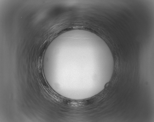 X0000086080367200703231056