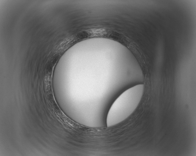 X0000086080369200703231056