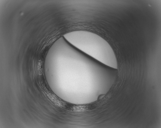X0000086080378200703231056