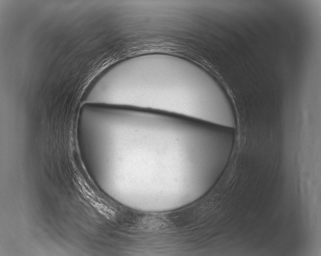 X0000086080386200703231055