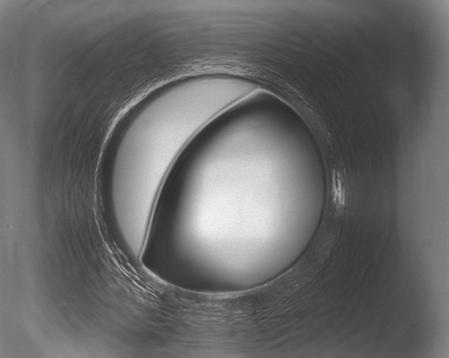 X0000086080388200703231055