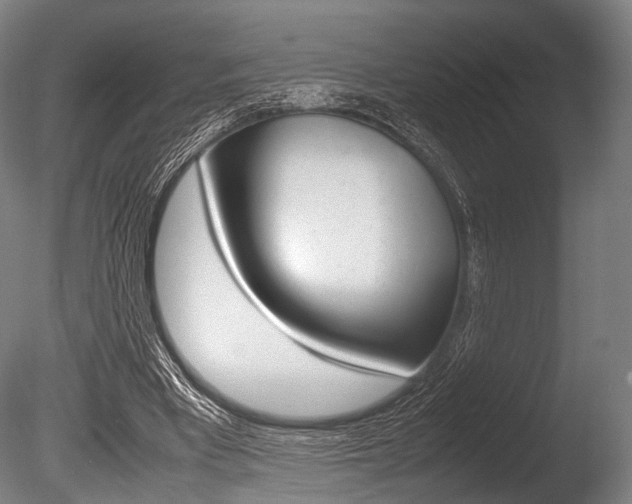 X0000086080393200703231055