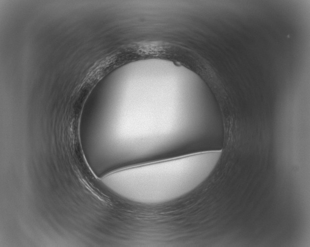 X0000086080408200703231055