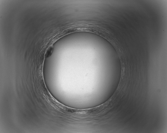 X0000086080411200703231055